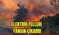 Elektrik telleri yangın çıkardı