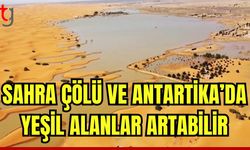 Sahra Çölü ve Antarktika'da yeşil alanlar artabilir