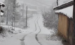 Bilecik Pazaryeri'nde kar yağışı başladı