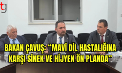 Mavi Dil Hastalığına Karşı Önlemler Geliştiriliyor