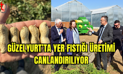 Güzelyurt’ta Yer Fıstığı Üretimi Canlandırılıyor