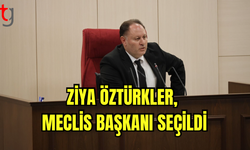 Ziya Öztürkler, Meclis Başkanı Seçildi