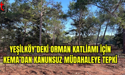 KEMA, Yeşilköy’deki Orman Katliamını Durdurmak İçin Yetkililere Çağrı Yaptı