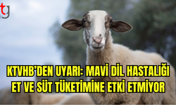 Mavi Dil Hastalığı Kıbrıs’ta Yayılmaya Devam Ediyor