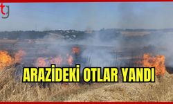 Arazideki otlar yandı