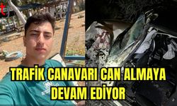 Trafik canavarı can almaya devam ediyor