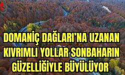 Domaniç Dağları'na uzanan kıvrımlı yollar sonbaharın güzelliğiyle büyülüyor