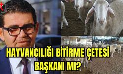 Hayvancılığı bitirme çetesi başkanı mı?