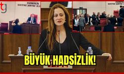 Büyük Hadsizlik!