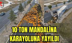 10 ton mandalina karayoluna yayıldı