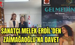 Sanatçı Melek Erdil'den Zaimağaoğlu'na davet