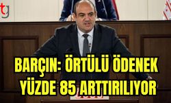 Barçın: Örtülü ödenek yüzde 85 arttırılıyor