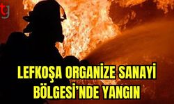 Lefkoşa Organize Sanayi Bölgesi'nde yangın