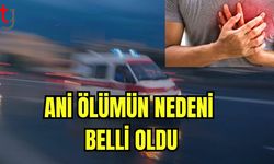 Ani ölümün nedeni belli oldu