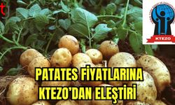 Patates fiyatlarına KTEZO'dan eleştiri