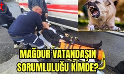 Mağdur vatandaşın sorumluluğu kimde?