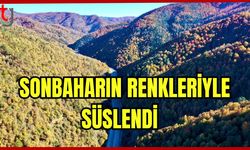 Sonbaharın renkleriyle süslendi