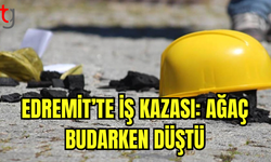 Edremit’te İş Kazası: Ağaç Budarken Düştü