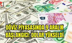 Döviz Piyasasında 9 Aralık Başlangıcı: Dolar Yükseldi