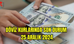 Döviz Kurları Güncellendi (25 Aralık 2024)