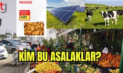 Kim bu asalaklar?