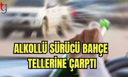 Alkollü sürücü bahçe tellerine çarptı