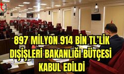 897 Milyon 914 Bin TL'lik Dışişleri Bakanlığı bütçesi kabul edildi