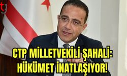 CTP Milletvekili Şahali: Hükümet inatlaşıyor!