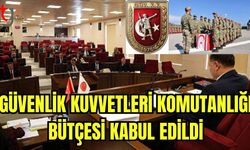 Güvenlik Kuvvetleri Komutanlığı bütçesi kabul edildi