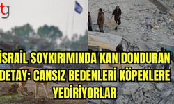 İsrail soykırımında kan donduran detay: Cansız bedenleri köpeklere yediriyorlar