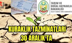 Kuraklık tazminatları 30 Aralık'ta