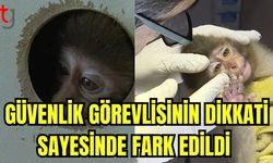 Güvenlik görevlisinin dikkati sayesinde fark edildi