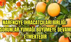 Narenciye İhracatçıları Birliği: Sorunlar yumağı büyümeye devam etmektedir