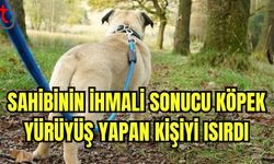 Sahibinin ihmali sonucu köpek yürüyüş yapan kişiyi ısırdı