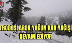 Trodoslarda yoğun kar yağışı devam ediyor