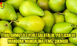 İthal armut ile yerli salatalık, patlıcan ve mandora mandalina temiz çıkmadı.