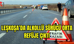 Alkollü Sürücü Orta Refüje Çıktı