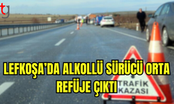 Alkollü Sürücü Orta Refüje Çıktı