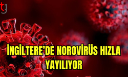 İngiltere’de Norovirüs Salgını