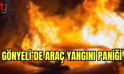 Gönyeli’de Araç Yangını Maddi Hasara Yol Açtı