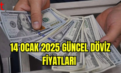 Serbest Piyasada Dolar 35,48 TL’den İşlem Görüyor