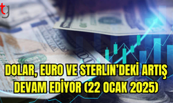 Döviz Kurları Yüksek Seviyelerde İşlem Görüyor