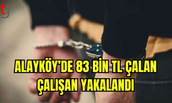 İşyeri Çalışanı Nakit Hırsızlığından Tutuklandı