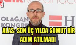 Alas: Son üç yılda somut bir adım atılmadı