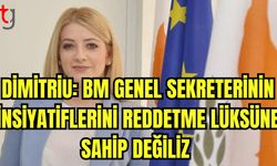 Dimitriu: BM Genel Sekreteri’nin inisiyatiflerini reddetme lüksüne sahip değiliz