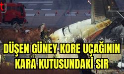 Düşen Güney Kore uçağındaki sır