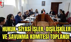 Hukuk, Siyasi İşler, Dışilişkiler ve Savunma Komitesi toplandı