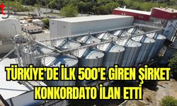 Türkiye'de ilk 500'e giren şirket konkordato ilan etti