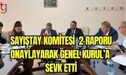 Sayıştay Komitesi 2 raporu onaylayarak Genel Kurul'a sevk etti