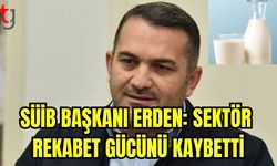 SÜİB Başkanı Erden: Sektör rekabet gücünü kaybetti